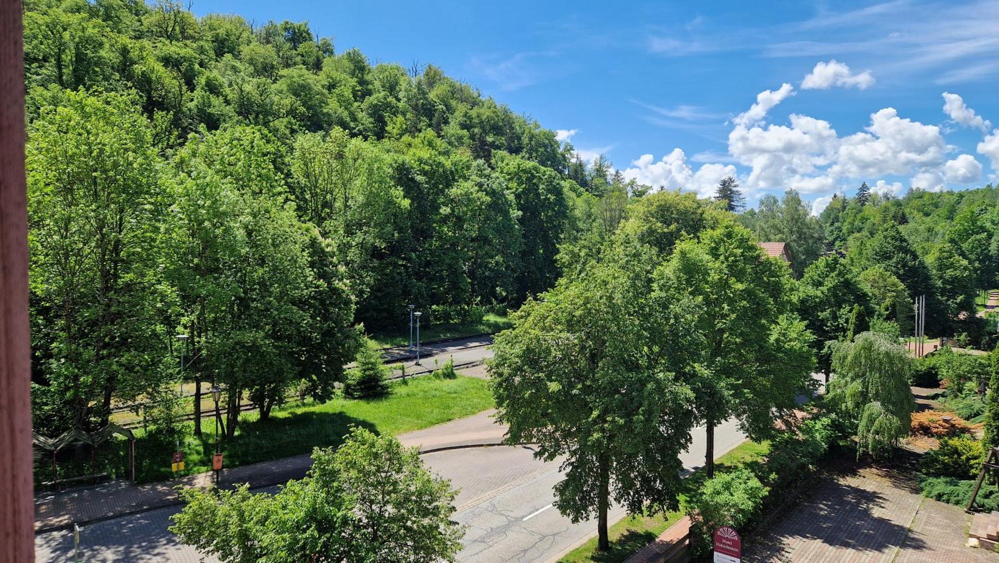 Hotel Habichtstein Алексисбад Экстерьер фото