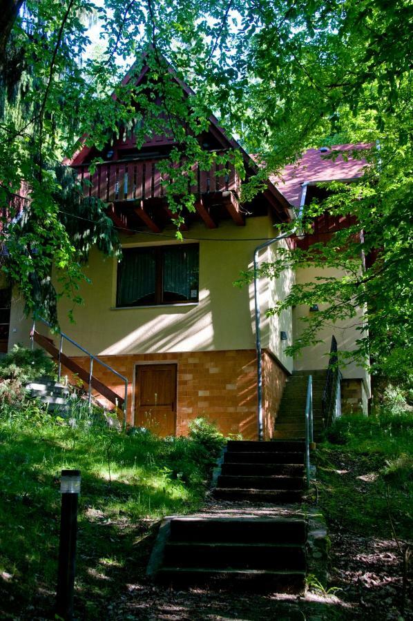 Hotel Habichtstein Алексисбад Экстерьер фото